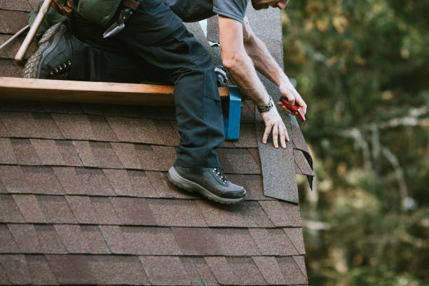 Best Roof Moss and Algae Removal  in Butler Beach, FL